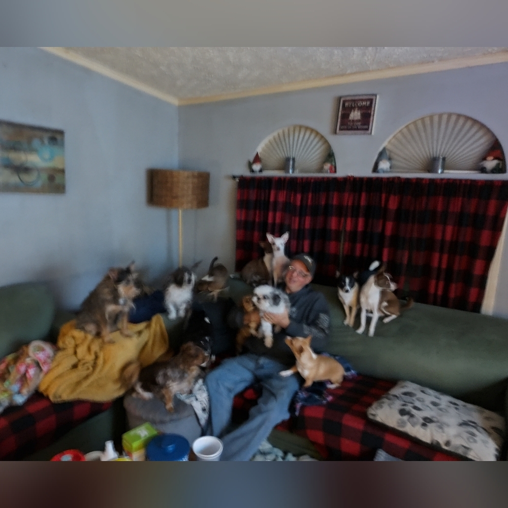 Meet The Rescues We Have